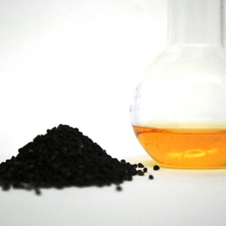 Graine de Nigelle : bienfaits, histoire et utilisation - Nigella.fr